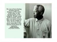 Mandela-nugget